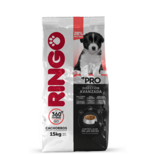 Ringo +Pro Perros Cachorros