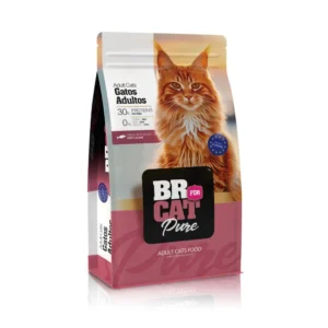 Br For Cat Pure Sabor a Salmón