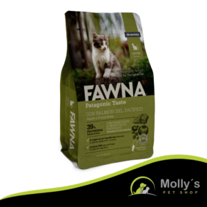Fawna Salmón Del Pacífico Gatitos