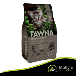 Fawna Salmón Del Pacífico Gato Adulto