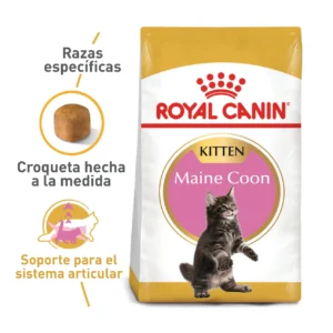 Royal Canin FBN Maine Coon Kitten