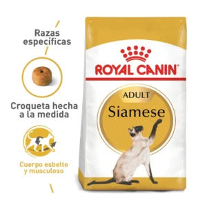 Royal Canin FBN Siamese Adulto 2 kg