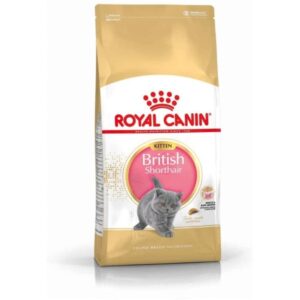 Royal Canin FBN British Short Hair Kitten2 kg