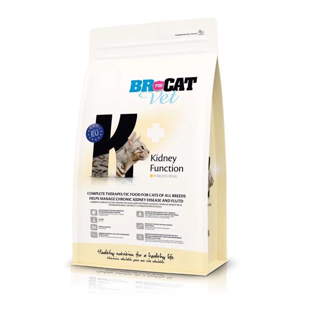 Br For Cat Vet Kidney Function