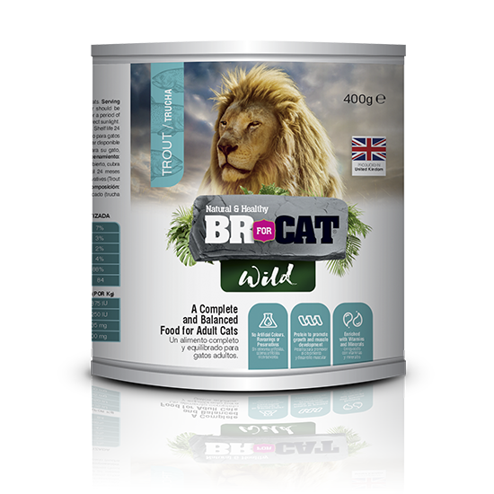 Br For Cat Wild Trucha Lata 400g