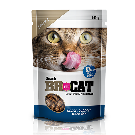 Br For Cat Softy Cuidado Renal 100 GR