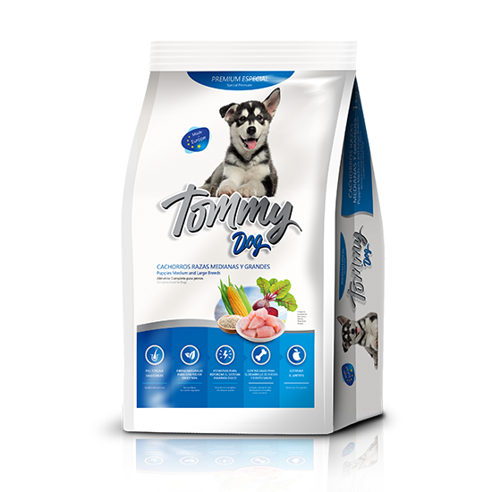 Tommy Dog Cachorro Razas Medianas y Grandes